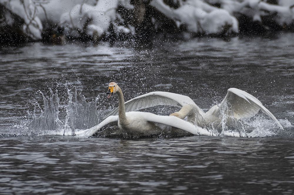 Photograph by Евгений Санин