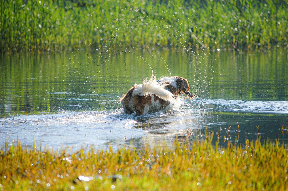 Photograph by esti lahat