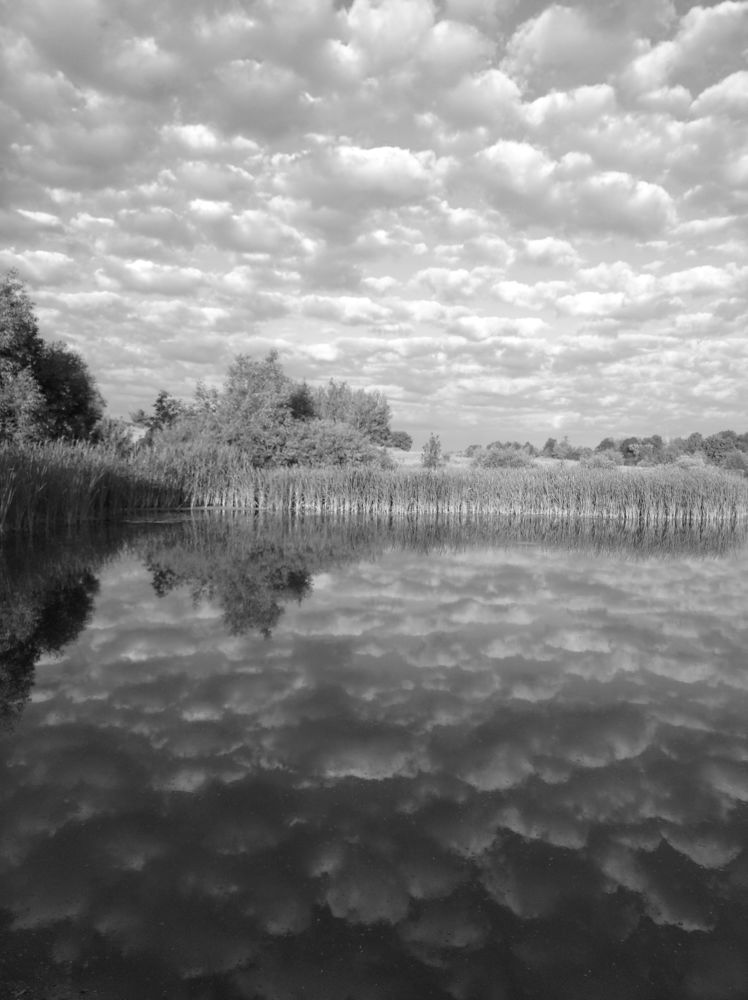 Photograph by Елена Коробченко