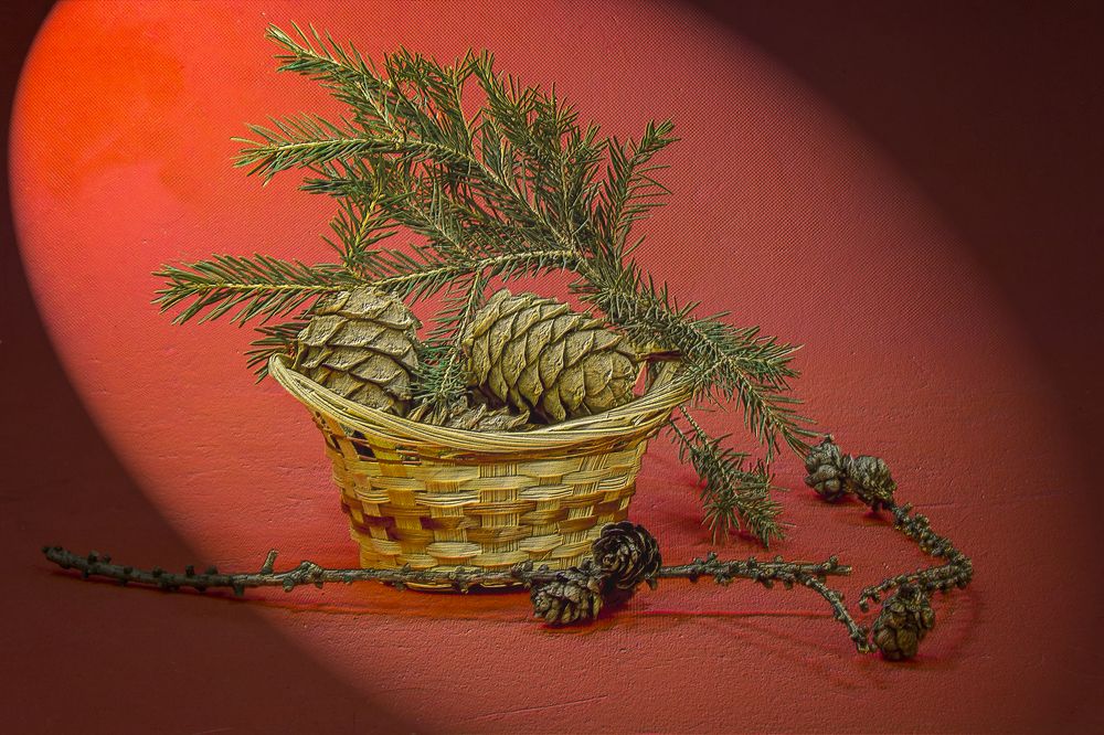 Photograph by Сергей Черных