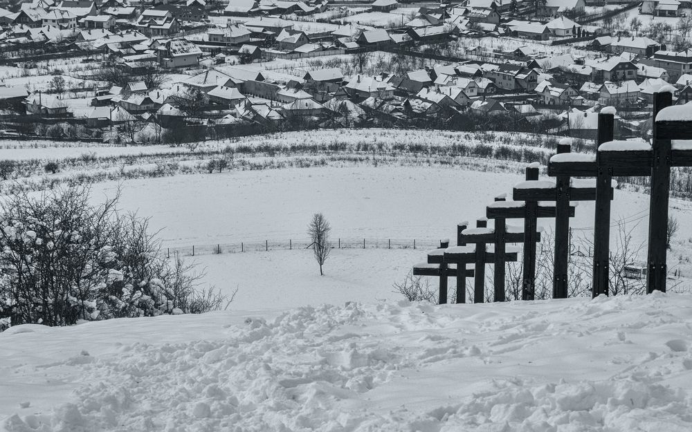 Фотография автора Cornelia Ghergut