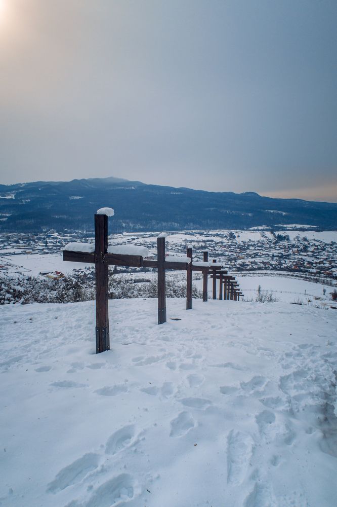 Фотография автора Cornelia Ghergut