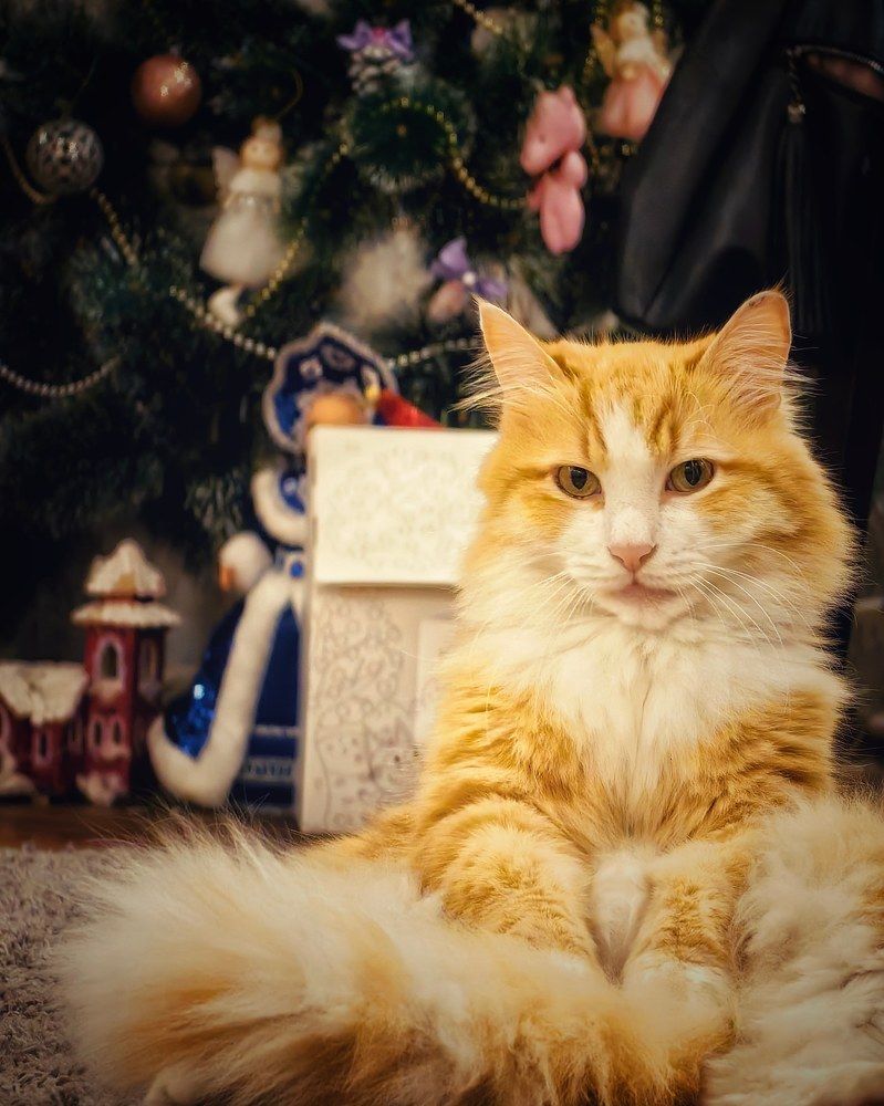 Photograph by Сергей Зайцев