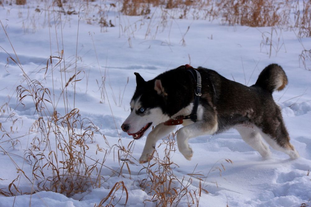 Фотография автора Nelya  Lysenko