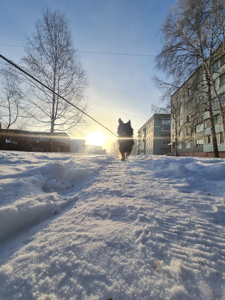 Photograph by Евгения Гриднева