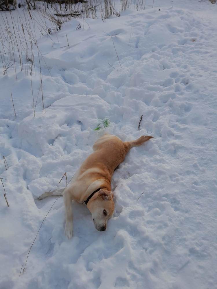 Photograph by Виталий