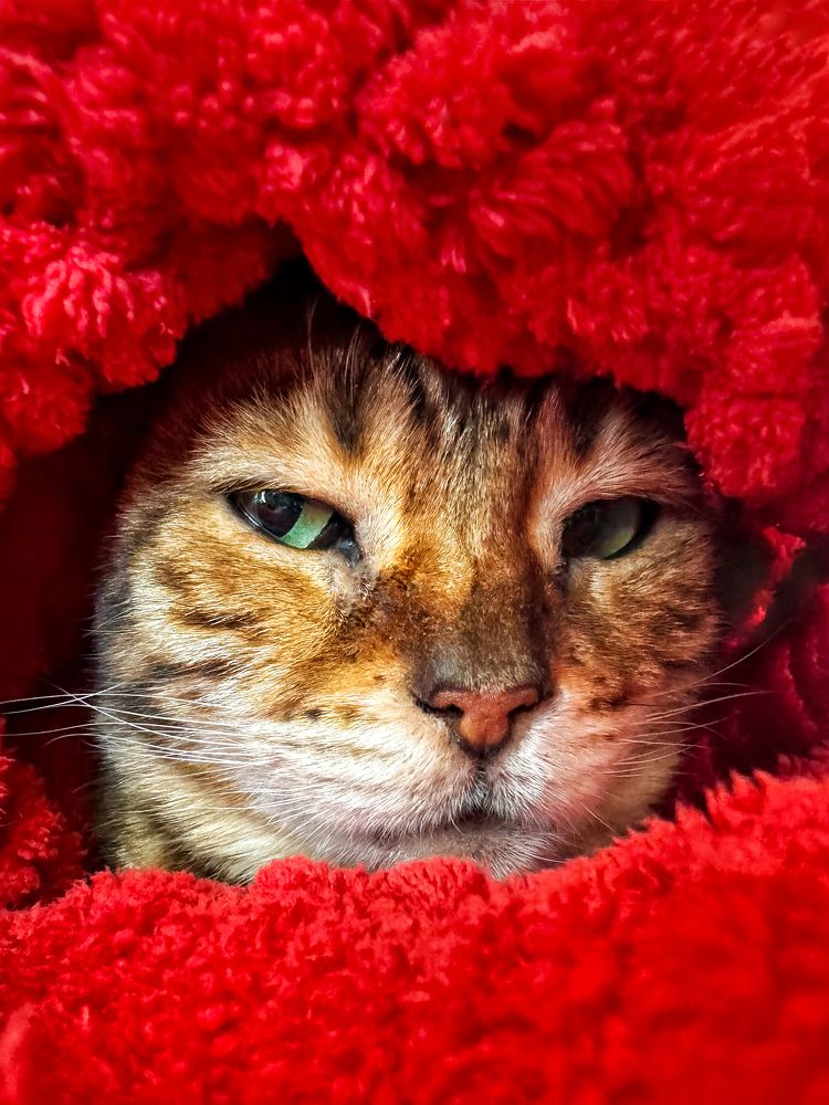 Photograph by Дина Желанова