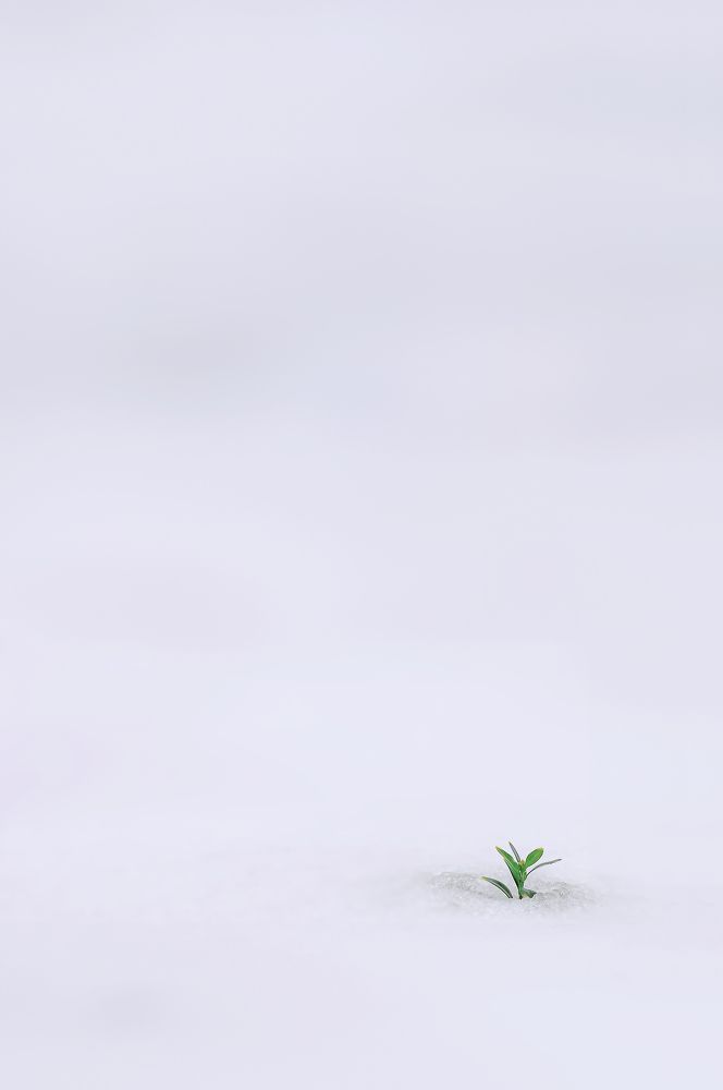 What can I do, I hurried