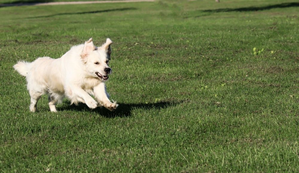 Photograph by Olga Asson