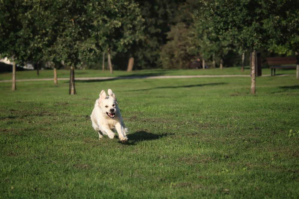 Photograph by Olga Asson