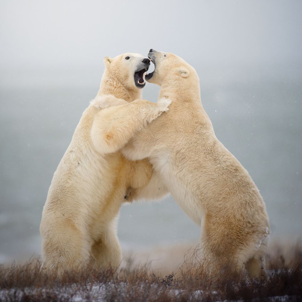 Photograph by Karthik Subramaniam