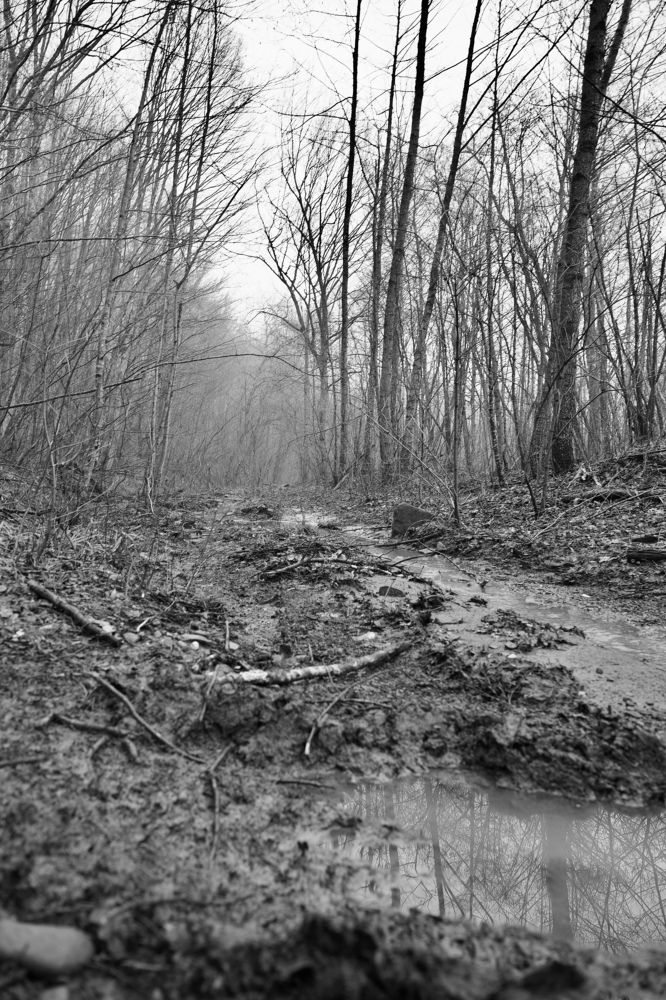 Фотография автора Борунов Константин