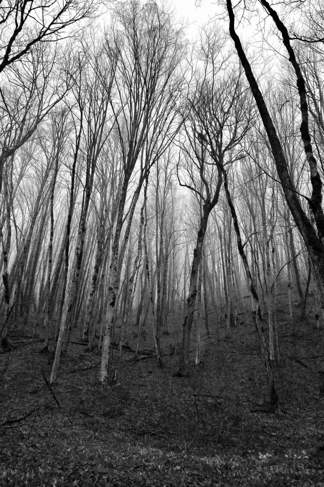 Фотография автора Борунов Константин