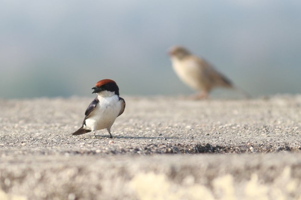 Photograph by Bhavesh Patil