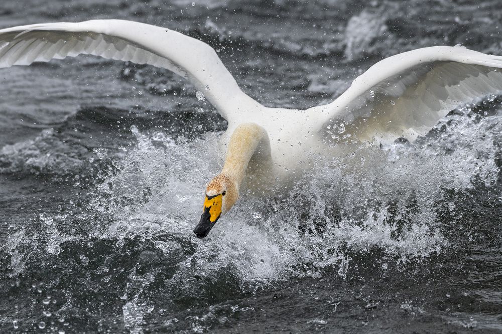 Photograph by Евгений Санин