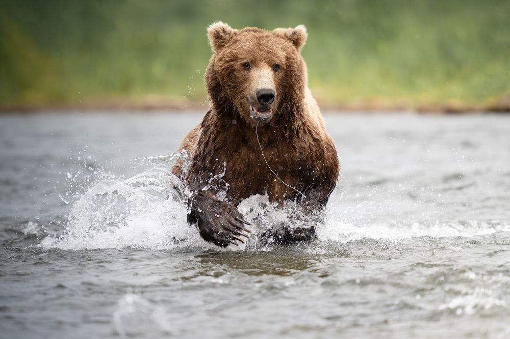 Фотография автора Karthik Subramaniam