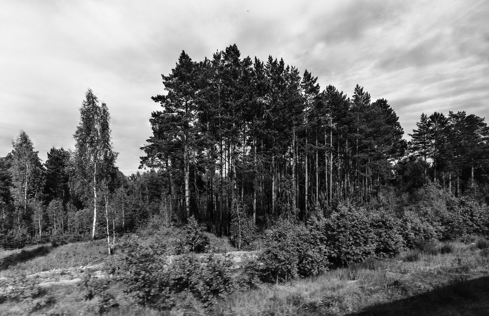 Фотография автора Дмитрий Климов