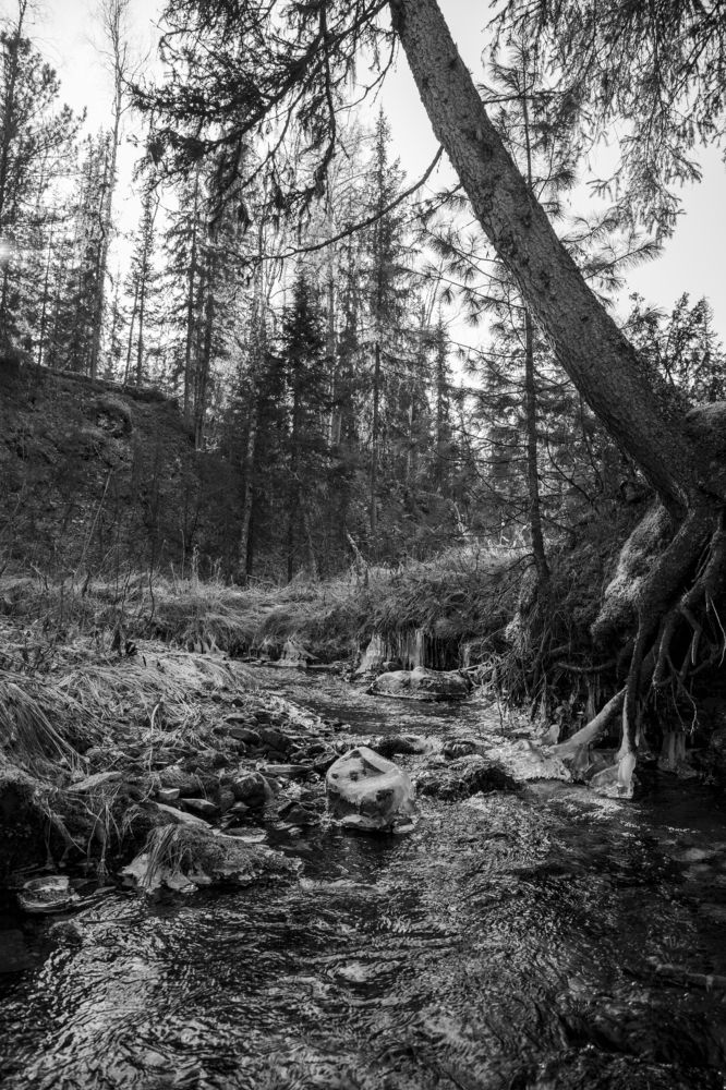 Photograph by Иван Буянов
