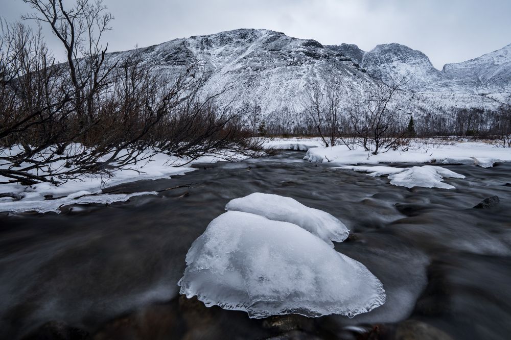 Photograph by Татьяна Решетникова