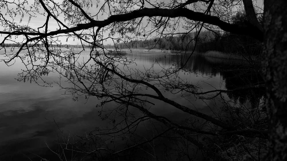 Photograph by Ольга Голованова