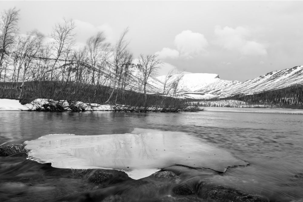 Photograph by Татьяна Решетникова