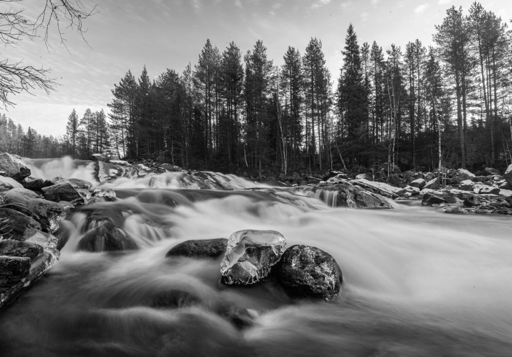 Photograph by Татьяна Решетникова