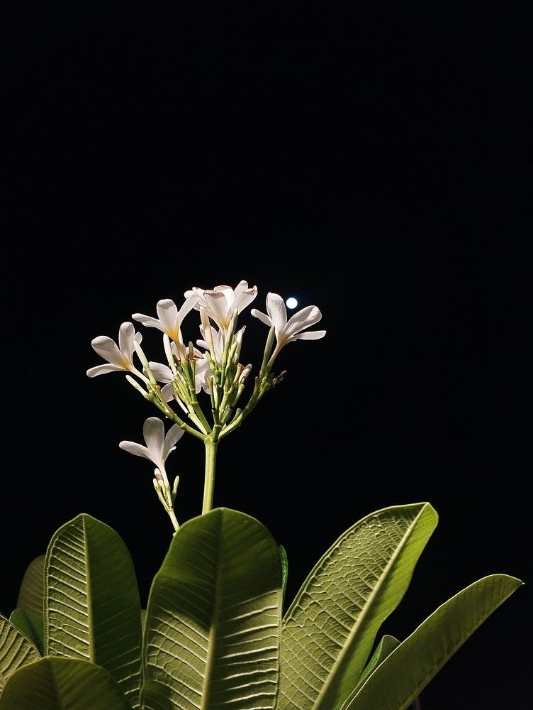 Photograph by Yash Nimje