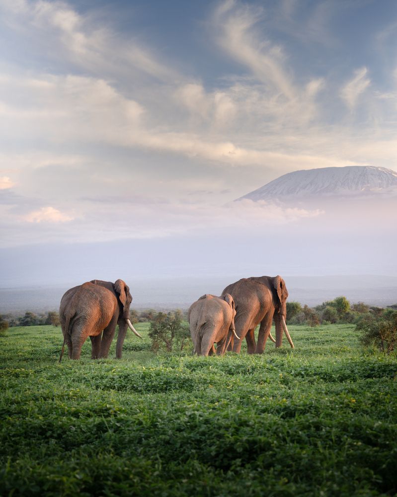 Фотография автора Karthik Subramaniam