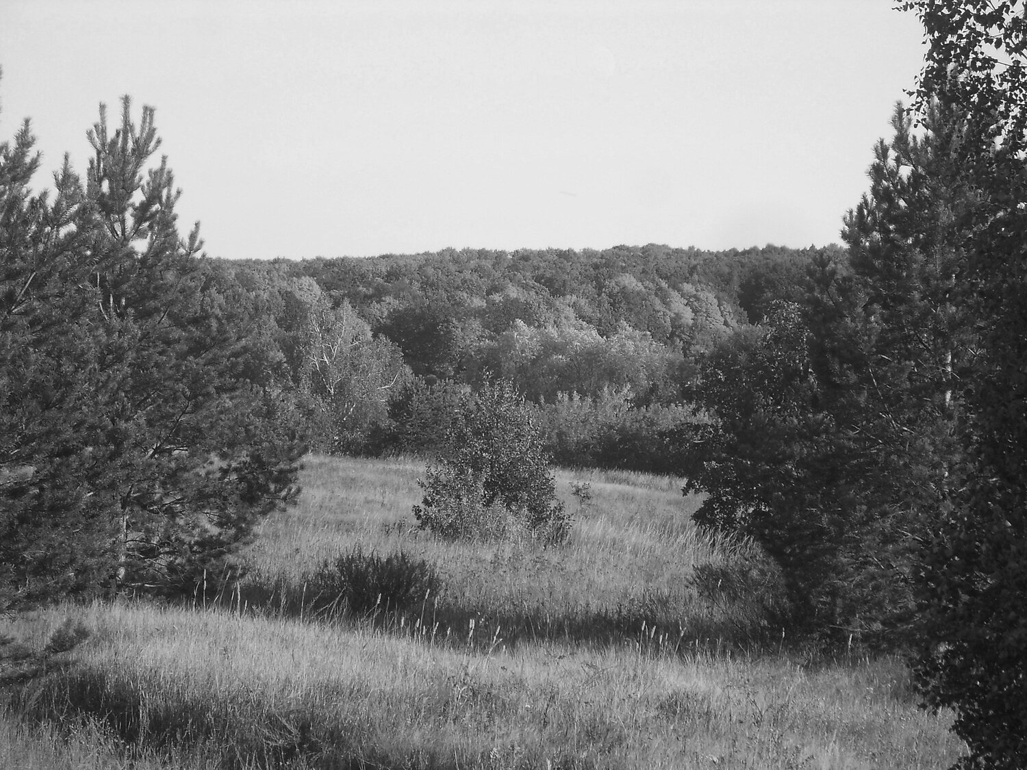 Photo #11638039