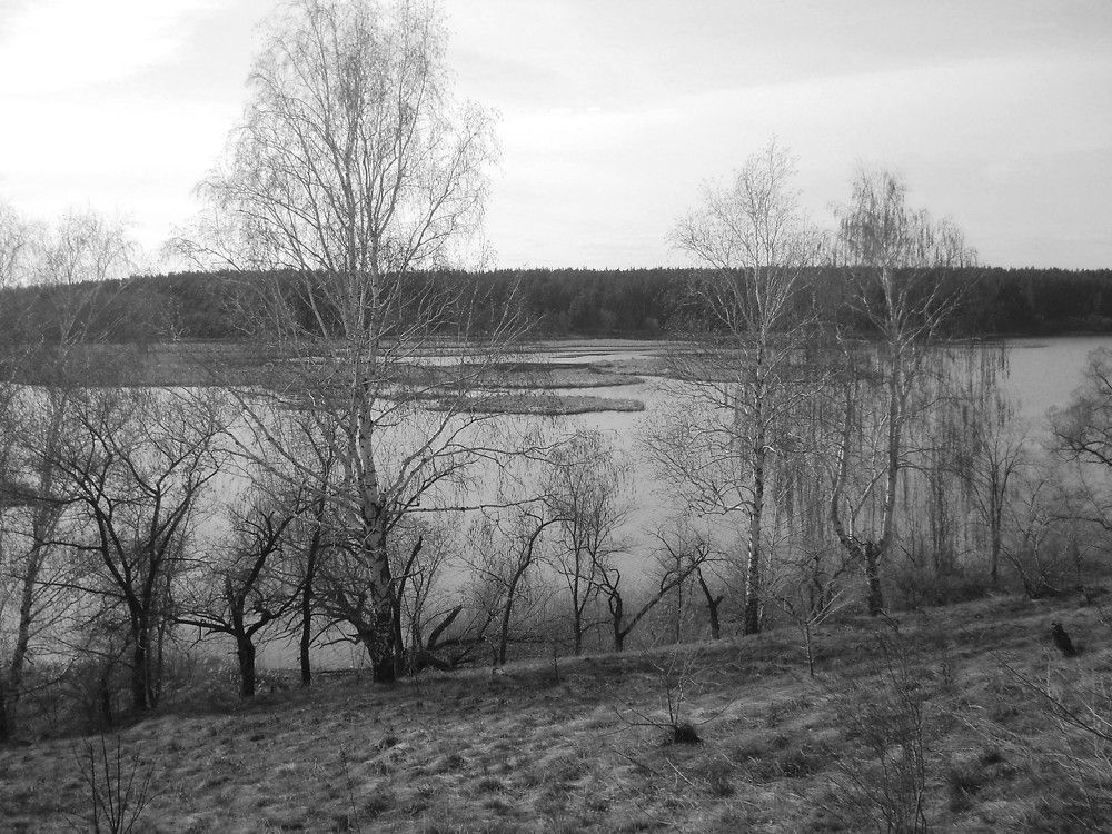 Photo #11638040
