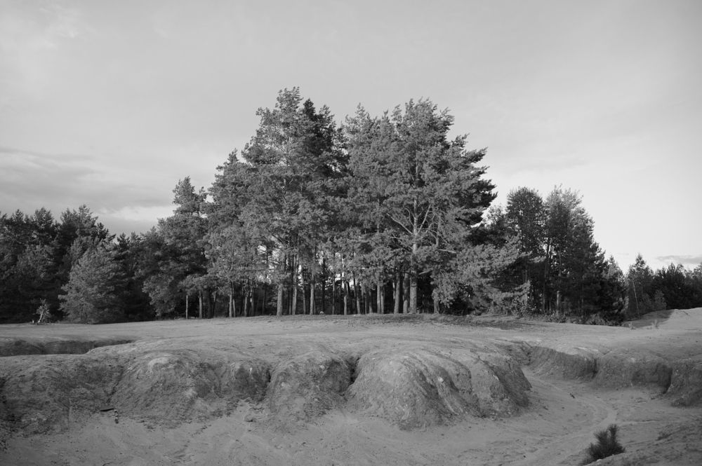 Photograph by Самосудов Рустам