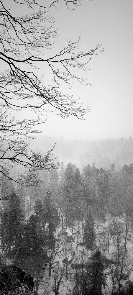 Photograph by Марина Жарикова