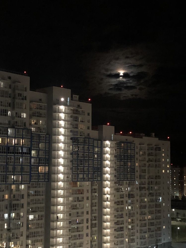 Фотография автора Светлана Гончарова