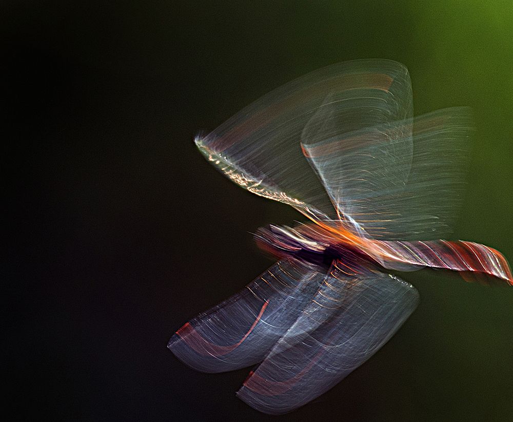 Магия полета