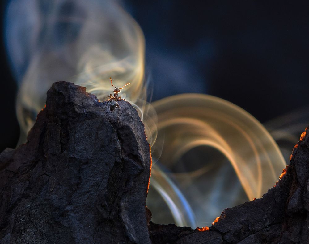 Буря на вершине