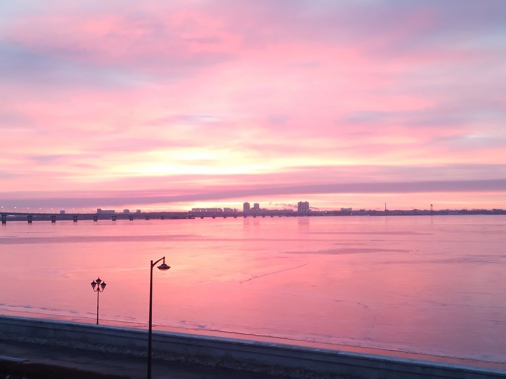 Photo #11638162