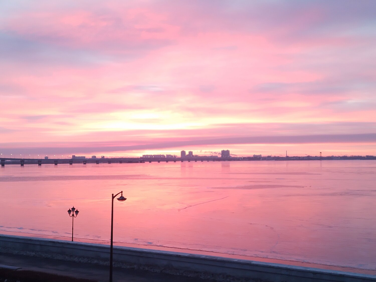 Photo #11638162