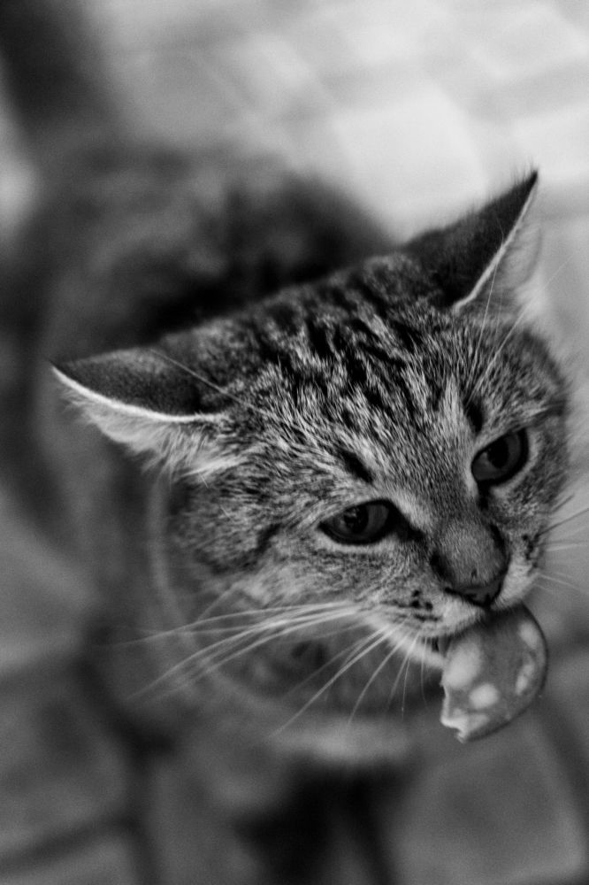 Photograph by Анастасия Веретенникова
