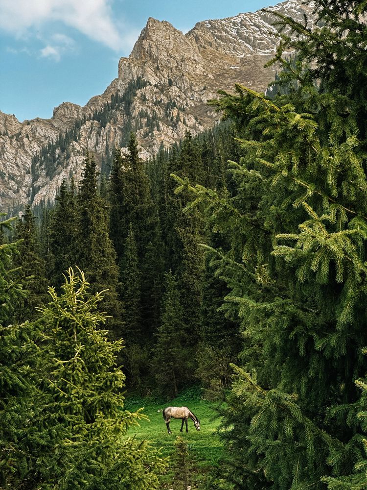 Фотография автора Илья Исаев