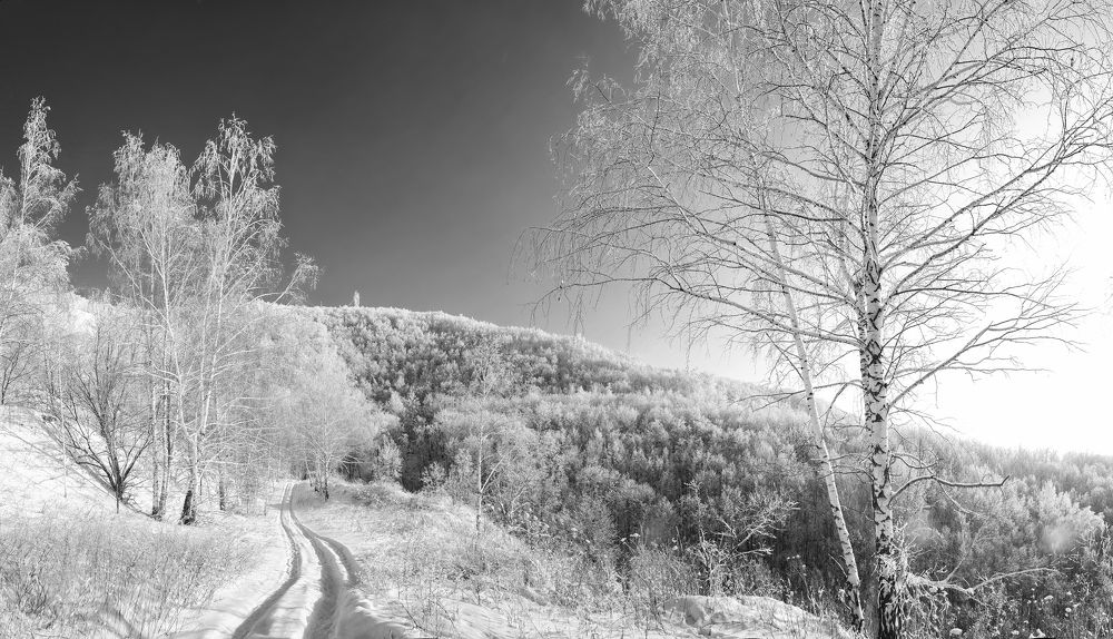 Photograph by Ирина Корпачева