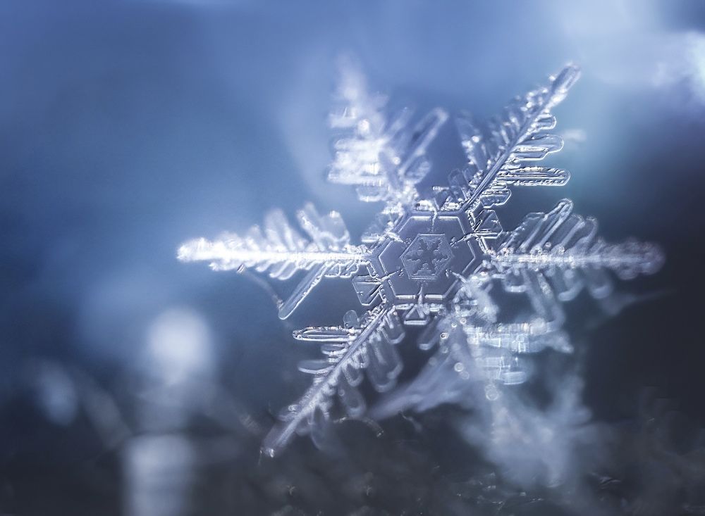 Photograph by Маргарита Смоленская