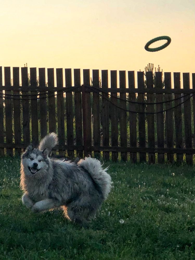 Фотография автора Светлана Гончарова