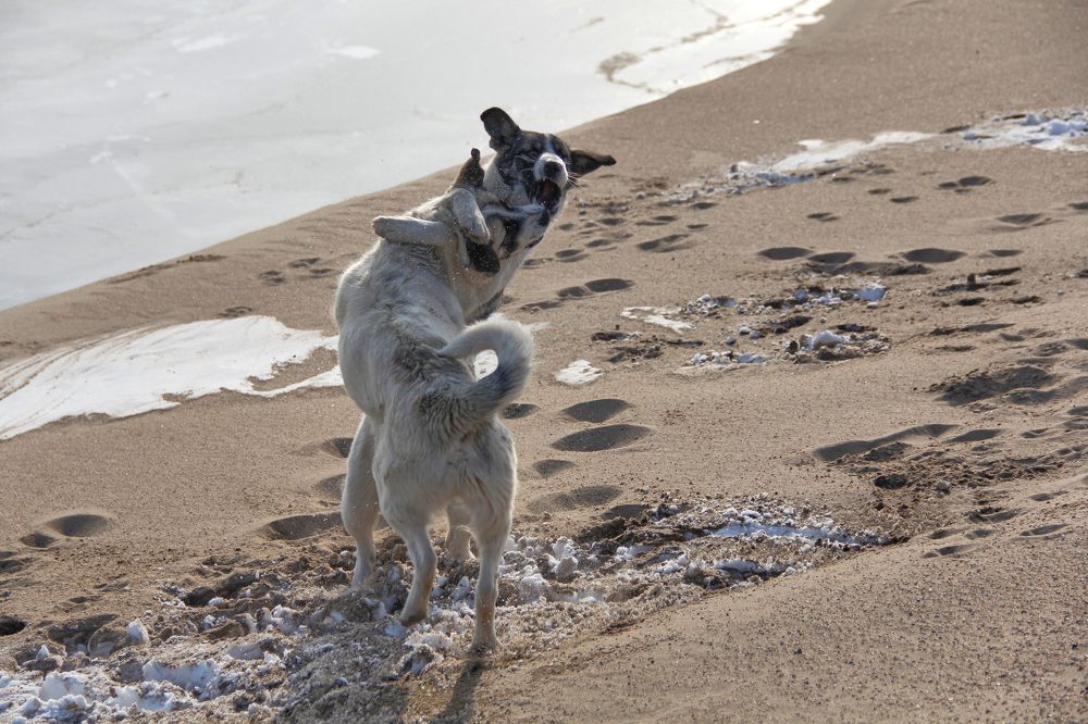 Фотография автора Наталия Мащенко