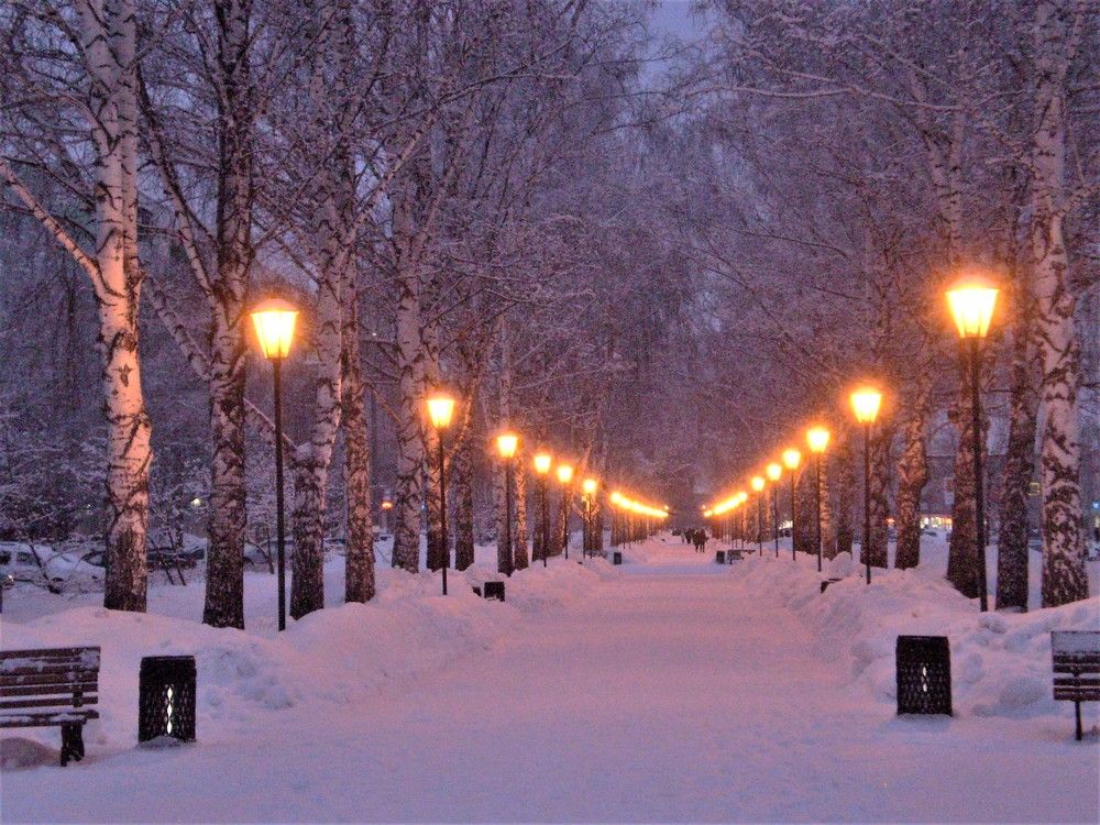 Photograph by Венера Чуйкова