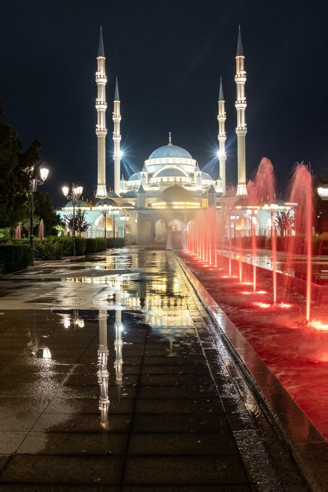 Photograph by Дьяченко Наталья