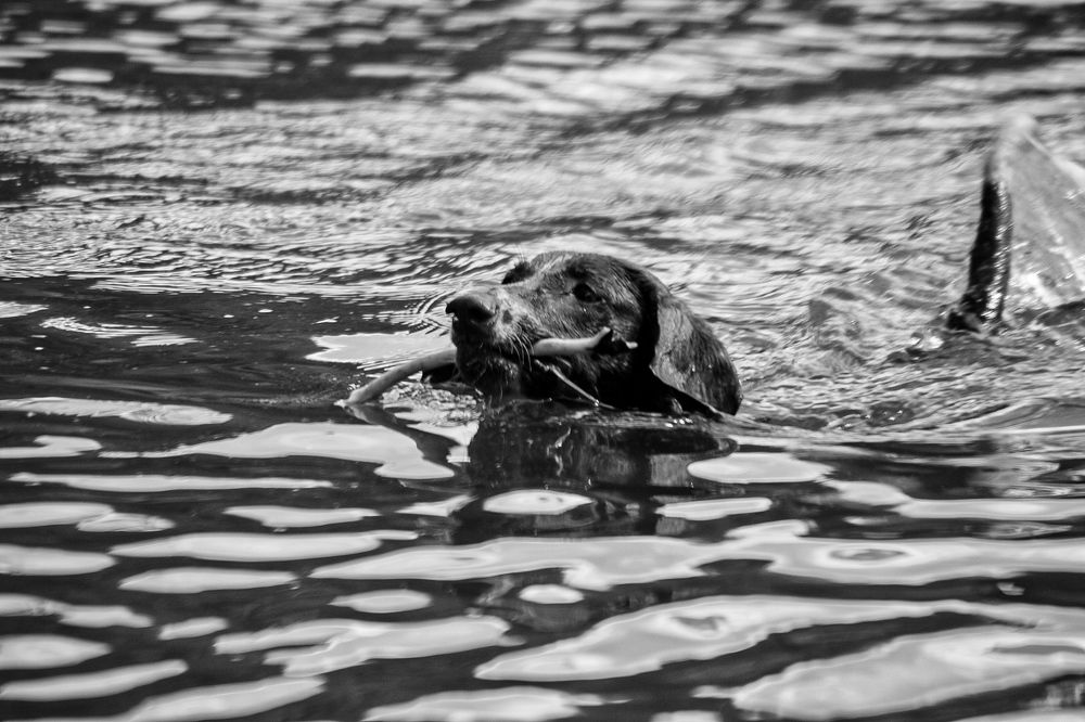 Photograph by Владислав Видилин