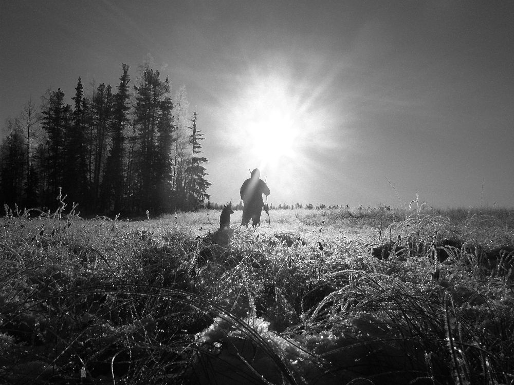 Photo #11638287