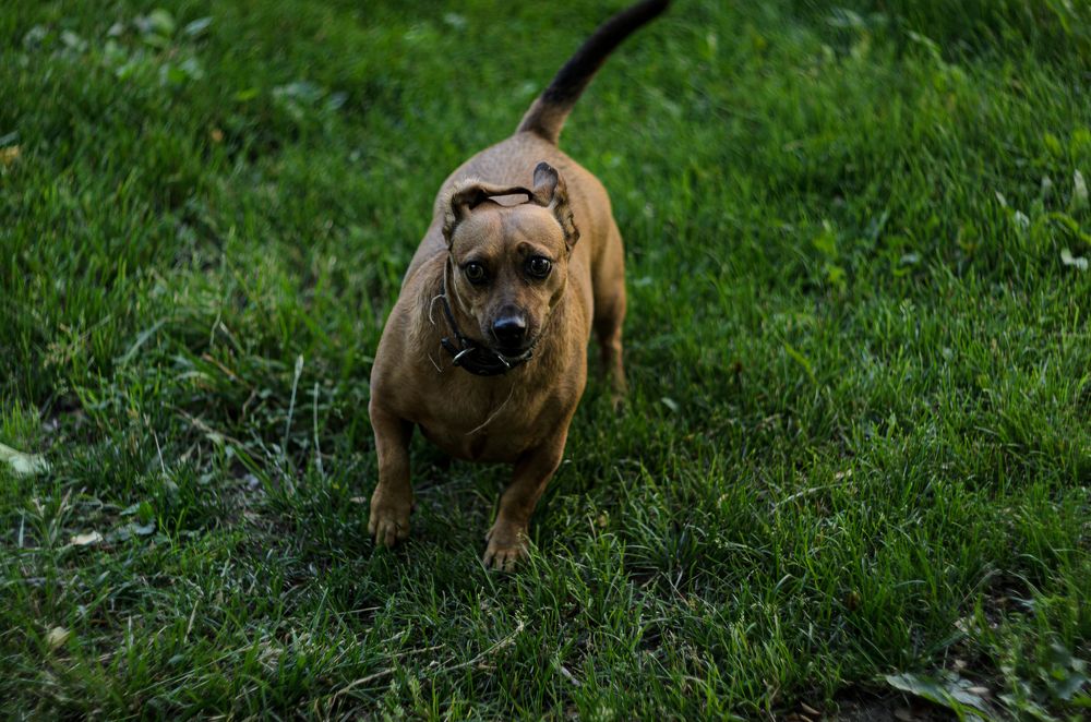 Photograph by Елена Берсенёва