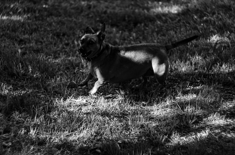 Photograph by Елена Берсенёва