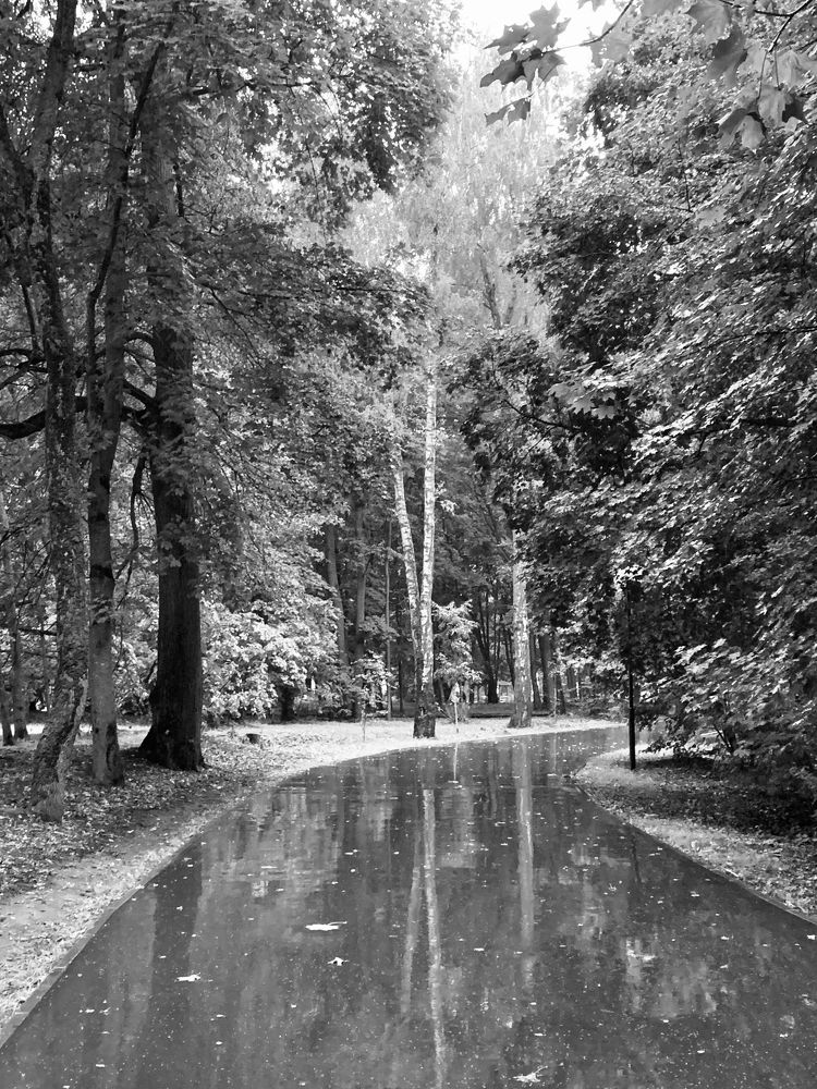 Photograph by Elena Makukha